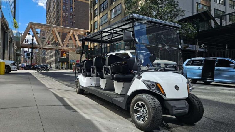 NYC:Midtown,Chelsea &West Village Guided City Tour by E-Cart - Authentic Insights from Reviewers