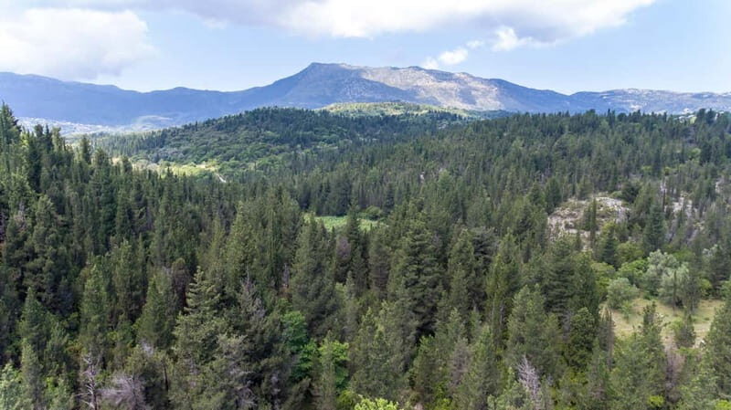 Nydri: Discover Local Culture, History & Beauty Guided Hike - The Sum Up