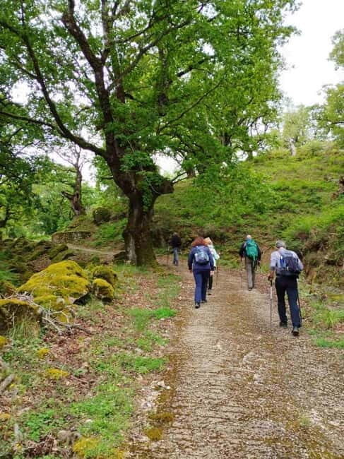 Nydri: Discover Local Culture, History & Beauty Guided Hike - FAQ