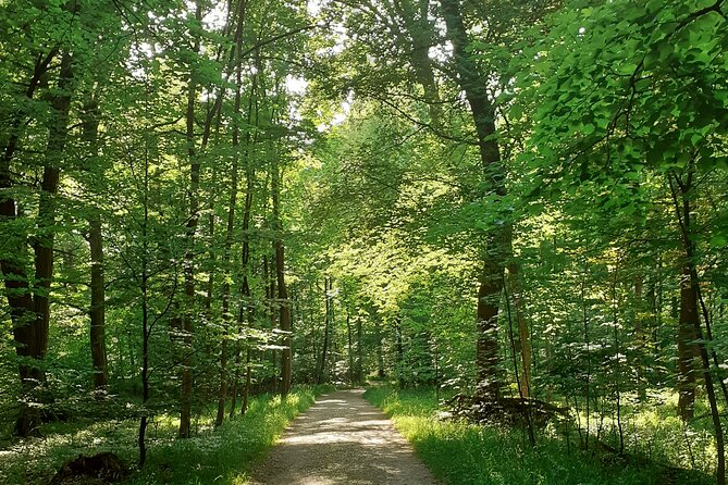 Nymphenburg Palace and Gardens Private Tour - End Point and Cancellation Policy