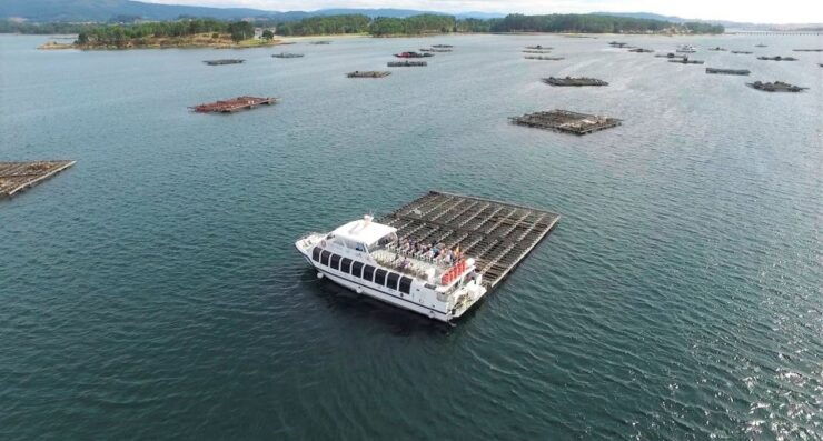 O Grove: Boat Tour With Mussel Tasting and Wine - Activity Details