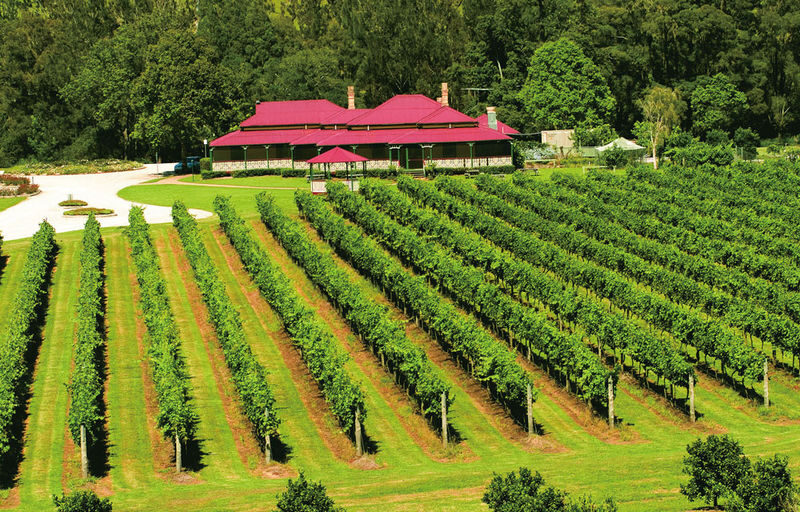 OReillys & Lamington National Park - The return drive and the value of a full day