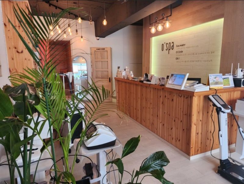OSPA Therapy: Expert Skincare & Body Care in Seoul - OSPA at a glance
