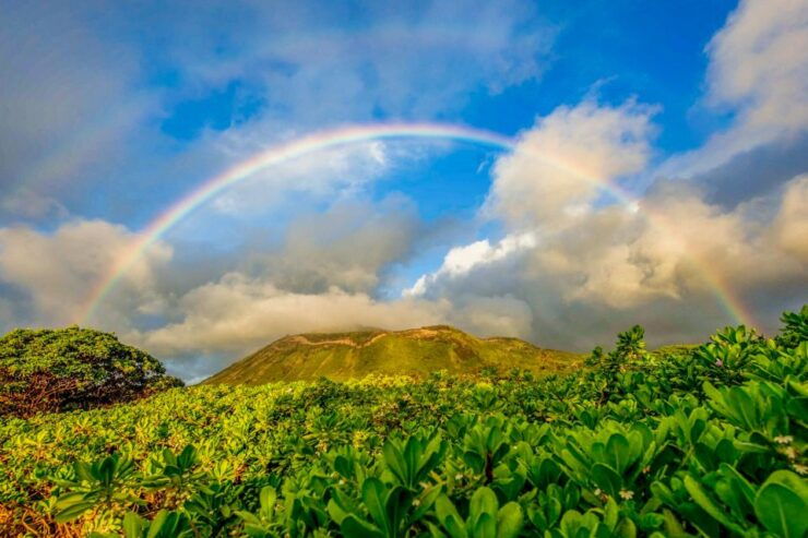 Oahu: 10-Hour Sunrise & Scenic View Points Photo Tour - Booking Details
