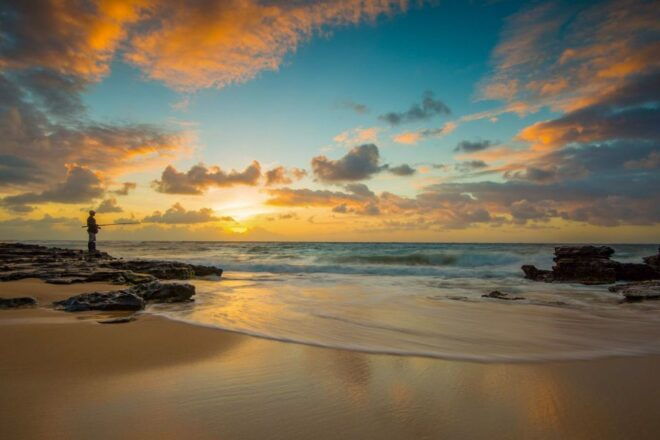 Oahu: 10-Hour Sunrise & Scenic View Points Photo Tour - Customer Reviews