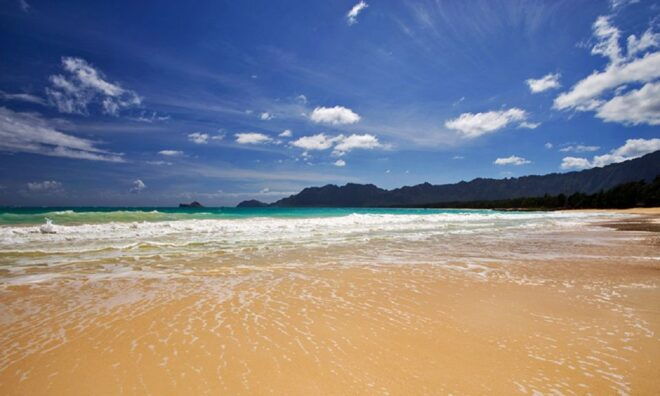 Oahu: 16-Point Guided Circle Tour With Snorkeling and Dole - Full Description
