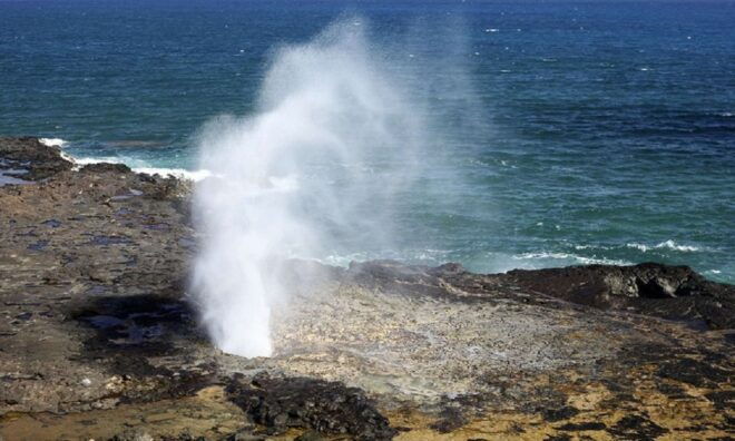 Oahu: 16-Point Guided Circle Tour With Snorkeling and Dole - Customer Reviews