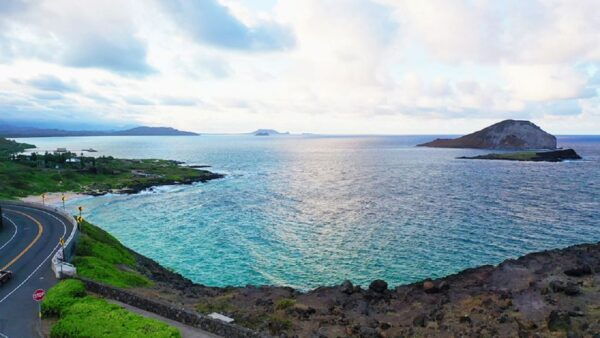 Oahu: 16-Point Guided Circle Tour With Snorkeling and Dole - Common Questions