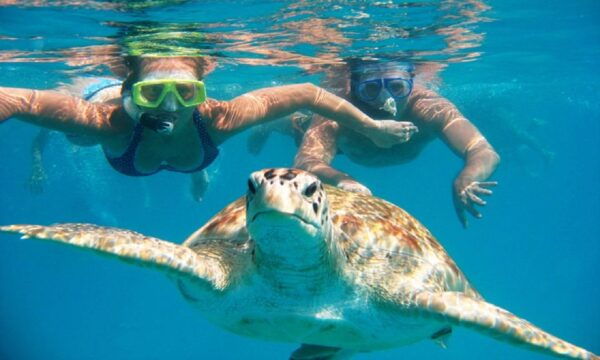 Oahu: 16-Point Guided Circle Tour With Snorkeling and Dole - The Sum Up