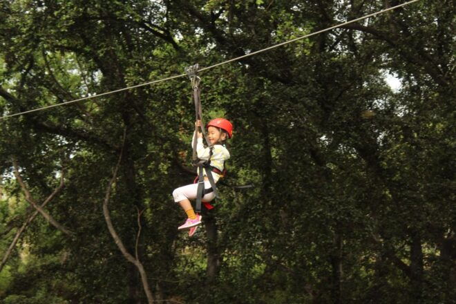 Oahu: 3 Ziplines and Coral Crater Tour With Transfer - Important Information