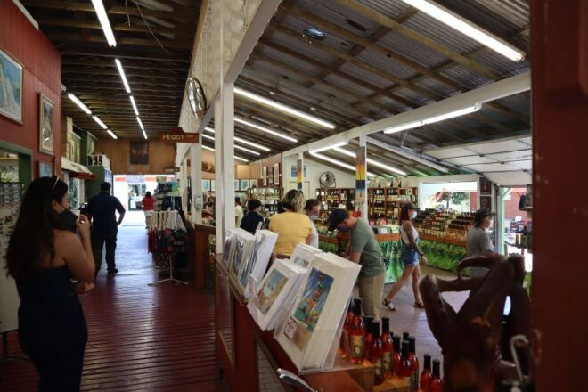 Oahu: Active Circle Island Tour - Related Activities