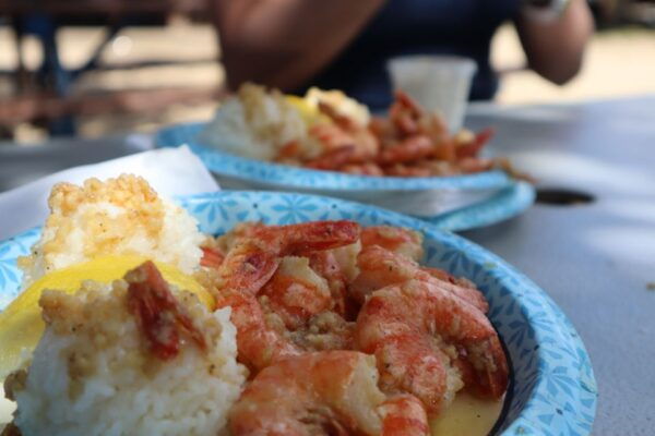 Oahu: Active Circle Island Tour - Must-See Spots on the Tour