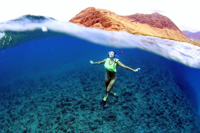 Oahu Catamaran Cruise: Wildlife, Snorkeling and a Hawaiian Meal - Reasons to Choose This Tour
