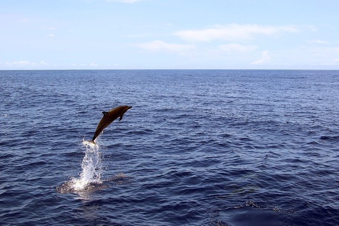 Oahu Catamaran Cruise: Wildlife, Snorkeling and a Hawaiian Meal - Serene Snorkeling Experience