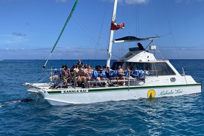 OAHU CATAMARANS Snorkel With Turtles in Waikiki Limited Capacity - Additional Information and Policies