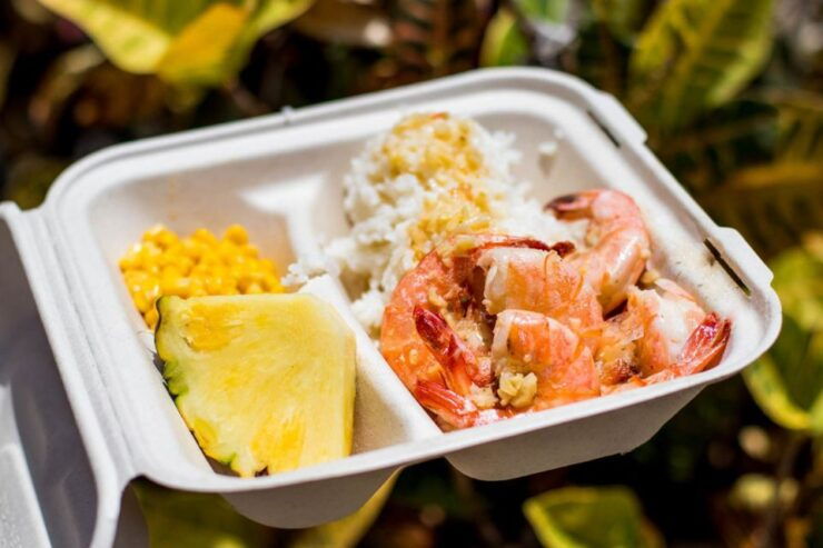 Oahu: Circle Island Day Trip With Shrimp Plate Lunch - General Information
