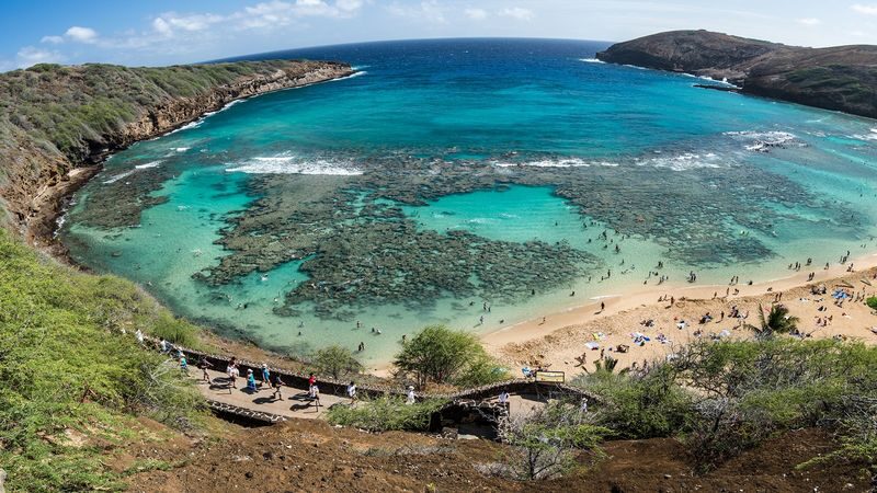 Oahu Circle Island Full Day Guided Tour - A broad Oahu sampler, not a slow island day