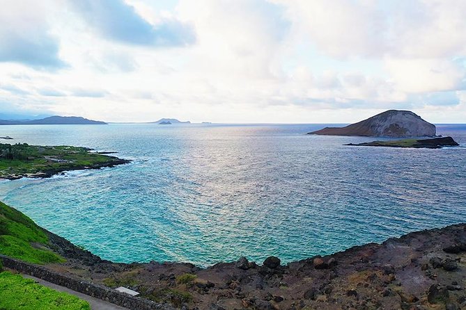 Oahu Circle Island - North Shore Snorkeling Tour (Dole & Temple) - Booking and Contact Information