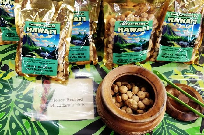 Oahu Circle Island - North Shore Snorkeling Tour (Dole & Temple) - The Sum Up
