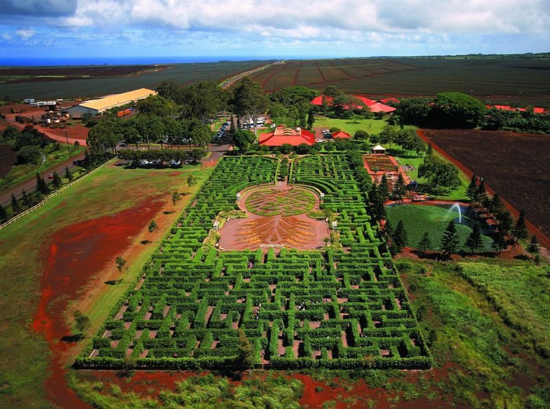 Oahu Circle Island One Day Tour - Sunset Beach, Haleiwa and the North Shore