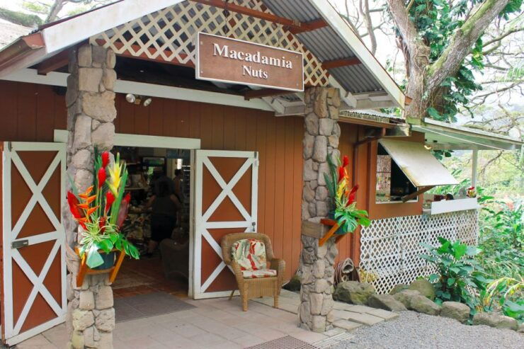 Oahu: Circle Island Snorkeling Tour - General Information