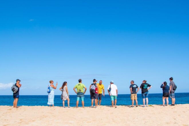 Oahu: Circle Island Snorkeling Tour - Transportation and Logistics