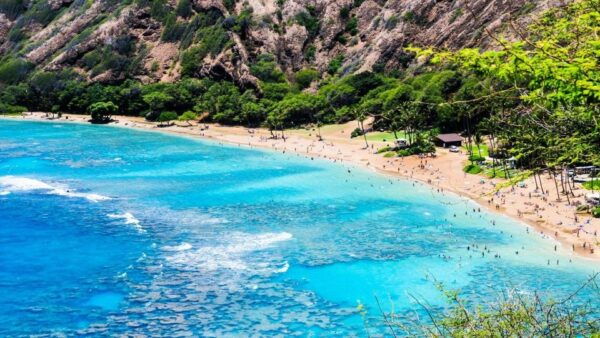 Oahu Circle Island Tour - Best Spots & Beaches - Common Questions