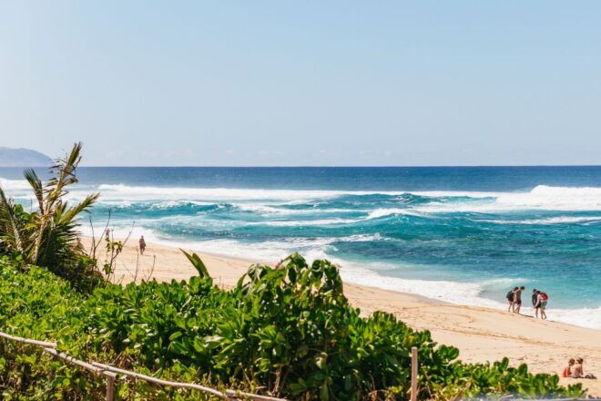 Oahu: Circle Island Tour With Lunch & Waimea Waterfall - Customer Reviews