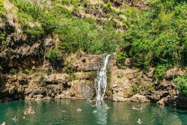 Oahu: Circle Island Tour With Lunch & Waimea Waterfall - The Sum Up