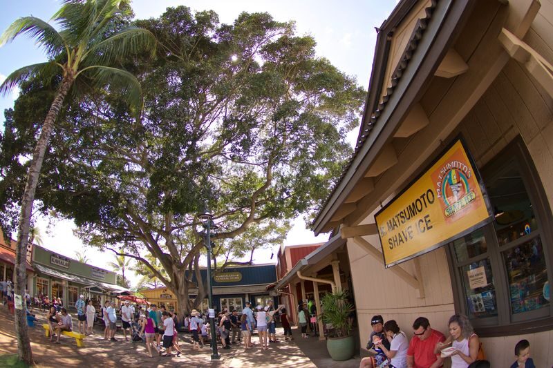 Oahu Circle Island Tour with Malasadas and Garlic Shrimp - Guide style, language and pace