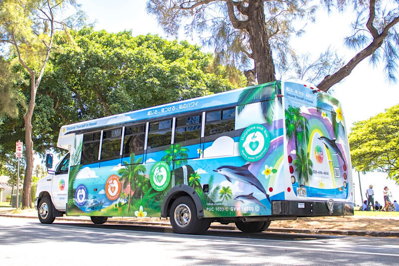 Oahu Circle Island Tour with Malasadas and Garlic Shrimp - Should you book this Oahu circle tour?