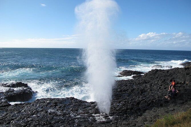 Oahu Circle Island Tours - Snorkeling Option