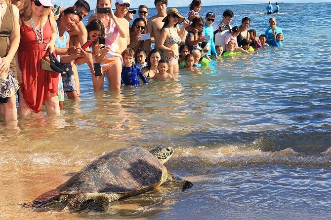 Oahu Circle Island Tours - The Sum Up