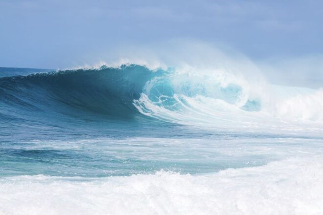 Oahu: Complete Island Tour With Tropical Waterfall - Professional Guide