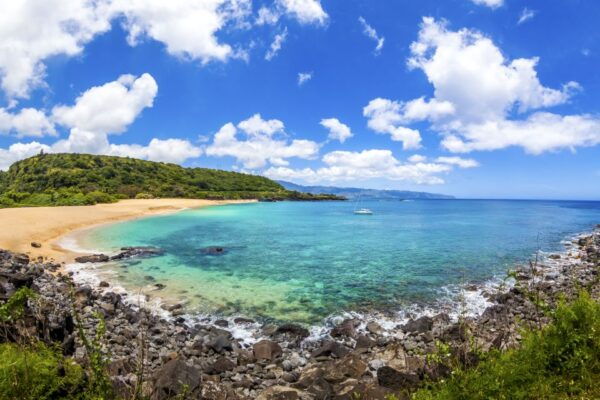 Oahu: Complete Island Tour With Tropical Waterfall - Local Eats