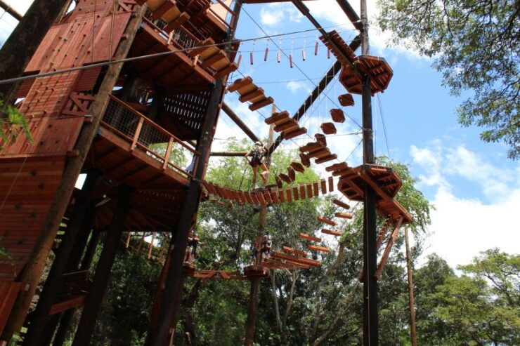 Oahu: Coral Crater Aerial Challenge Course - Good To Know