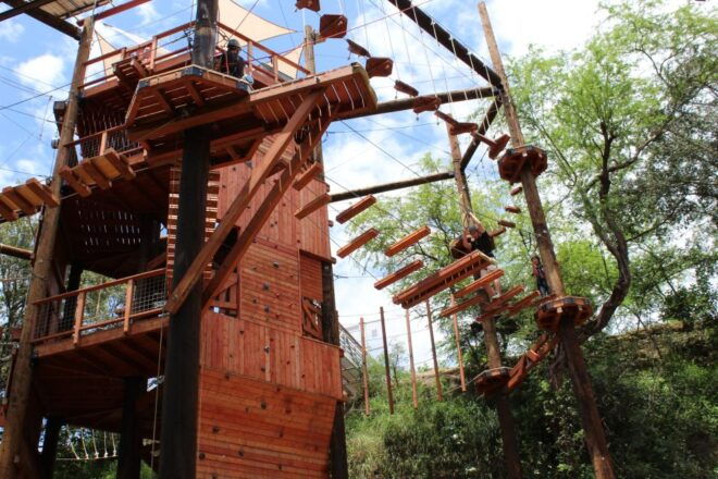 Oahu: Coral Crater Aerial Challenge Course - Experience and Inclusions
