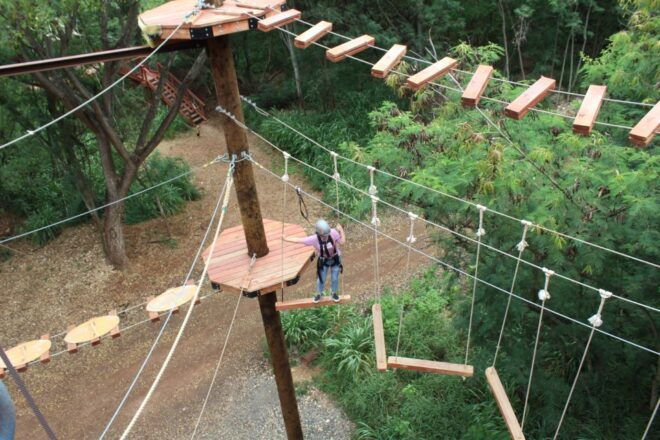 Oahu: Coral Crater Aerial Challenge Course - Pricing and Customer Reviews