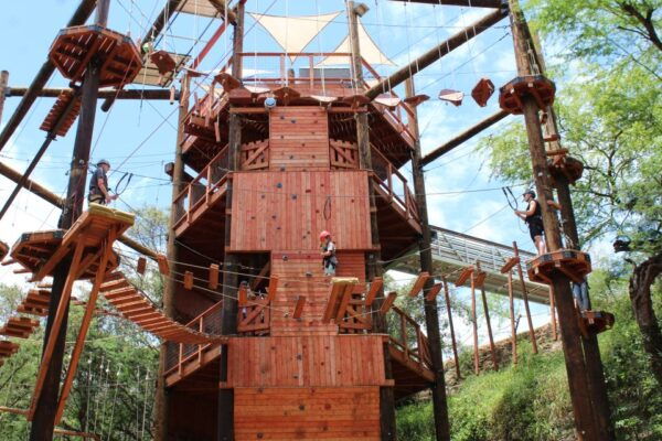 Oahu: Coral Crater Aerial Challenge Course - The Sum Up