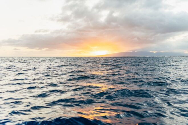 Oahu: Diamond Head Cruise With Drinks & Appetizers - Full Description