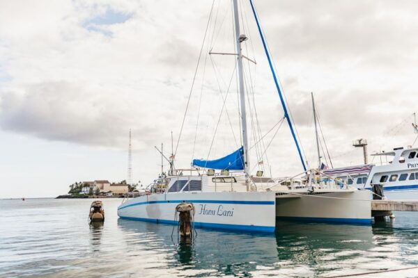 Oahu: Diamond Head Cruise With Drinks & Appetizers - Common Questions