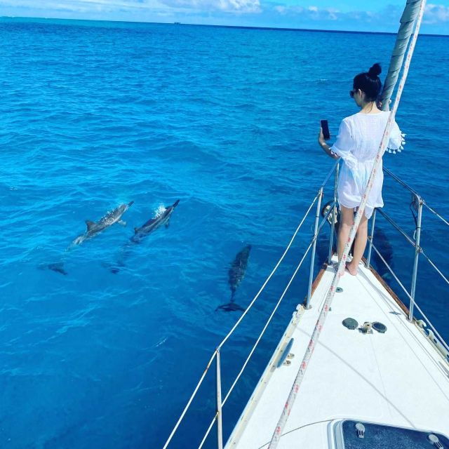 Oahu: Diamond Head Sail - Snacks and Refreshments