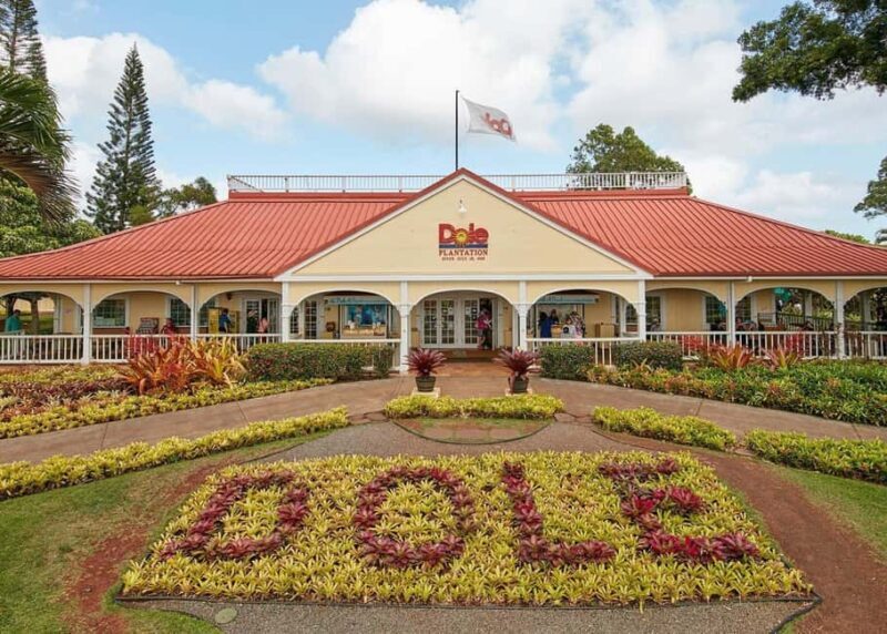 Oahu: Dole Plantation & Haleiwa Express Deluxe Tour - A Detailed Look at the Tour Experience