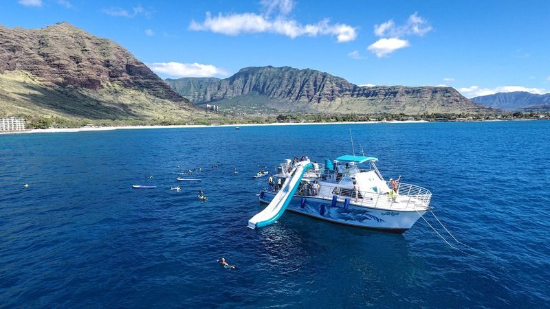 Oahu Dolphin Cruise with Water Activities, Pickup & Lunch Included - What to know before you book