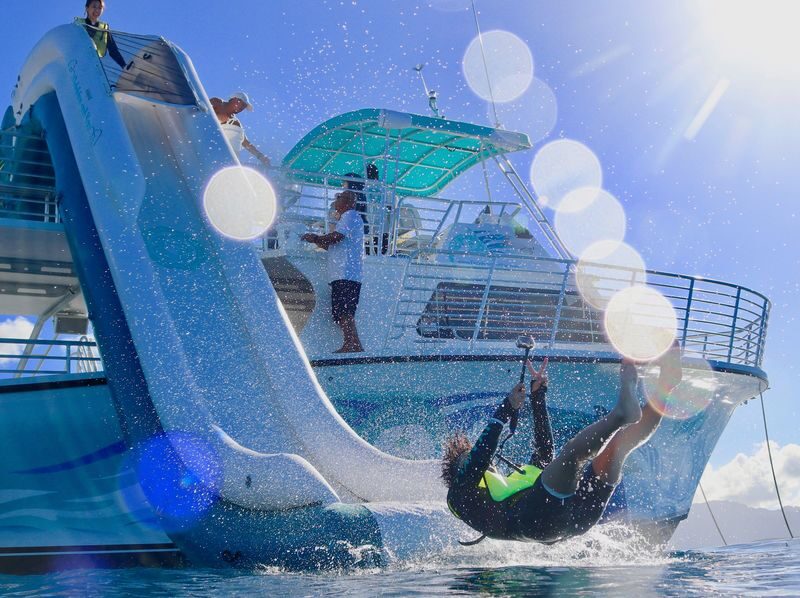 Oahu Dolphin Cruise with Water Activities, Pickup & Lunch Included - Looking for spinner dolphins off Oahu