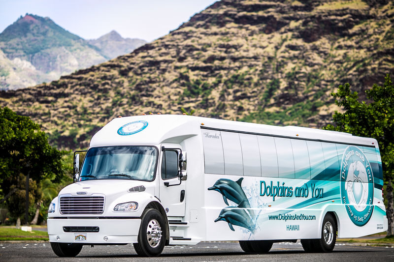 Oahu Dolphin Cruise with Water Activities, Pickup & Lunch Included - Kayaks, paddleboards and a 20-foot slide
