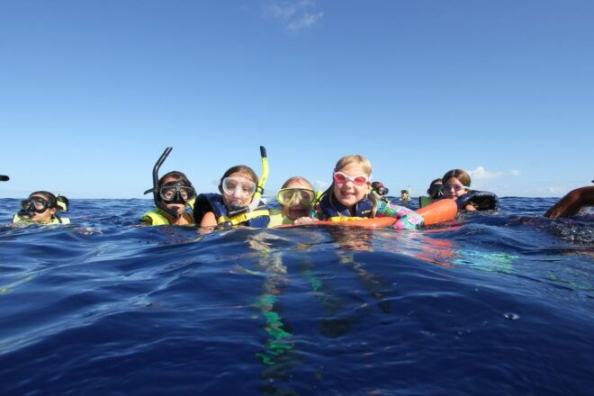 Oahu: Dolphin Swim and Snorkeling Speedboat Tour - Waianae Pickup Locations