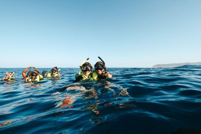 Oahu: Dolphin Swim and Snorkeling Speedboat Tour - Dolphin Swimming Requirements