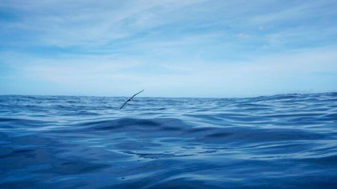 Oahu: Dolphin Watch, Turtle Snorkel, Waterslide Activities, - Additional Information
