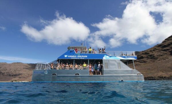 Oahu: Dolphin Watch, Turtle Snorkel, Waterslide Activities, - The Sum Up